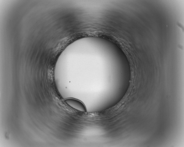 X0000103280768200808291045