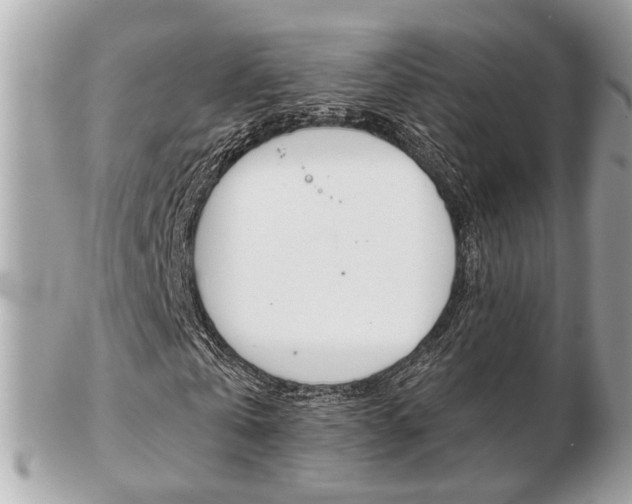 X0000103280769200808291045