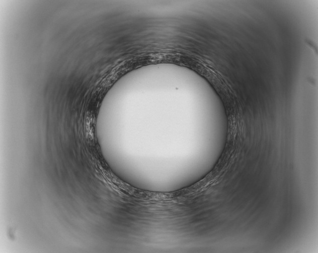 X0000103280770200808291045