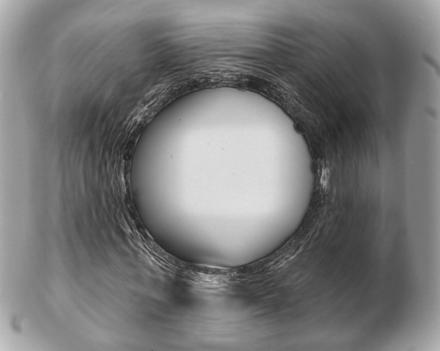X0000103280771200808291045