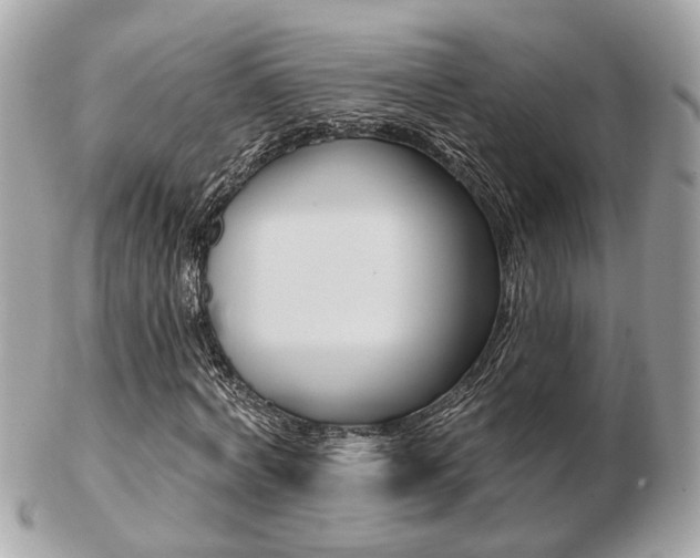 X0000103280772200808291045