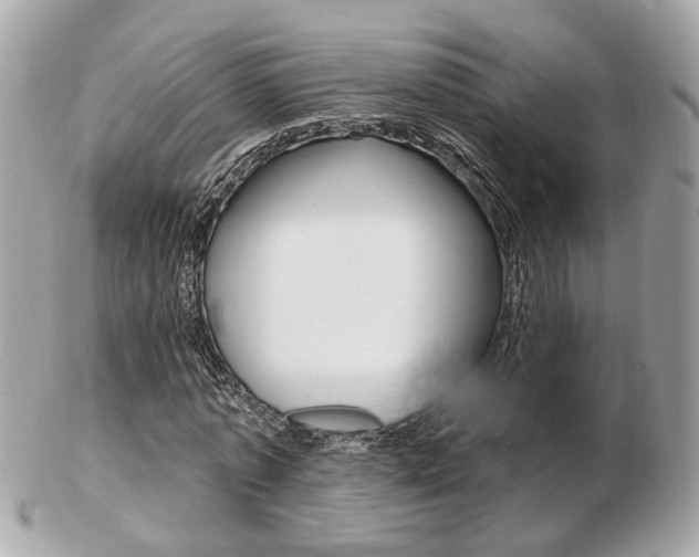 X0000103280773200808291045