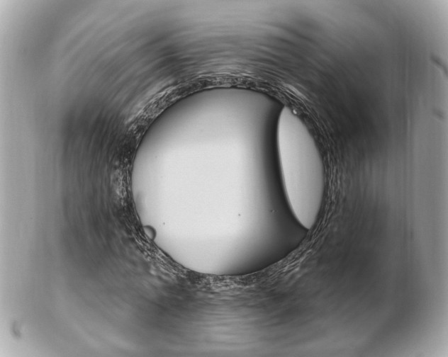 X0000103280774200808291045