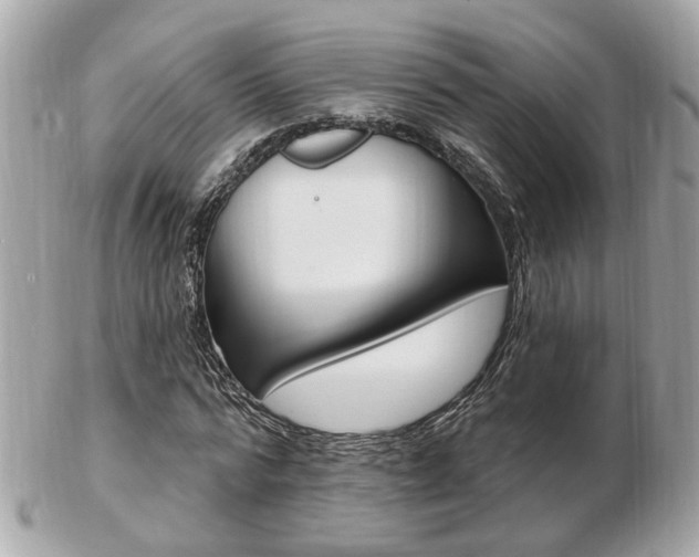 X0000103280776200808291045