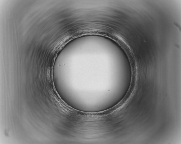 X0000103280777200808291045