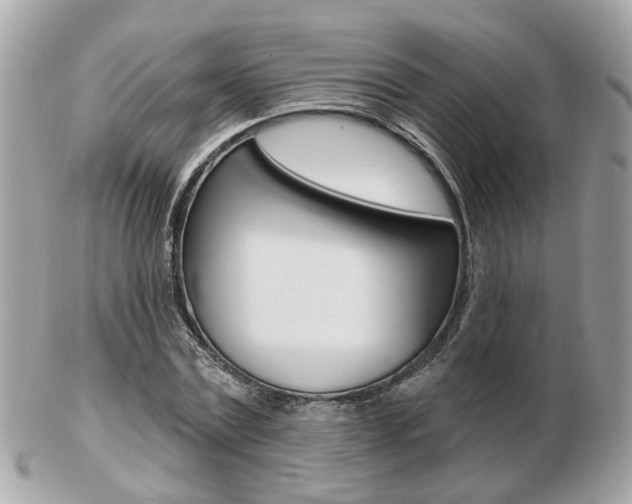 X0000103280779200808291045