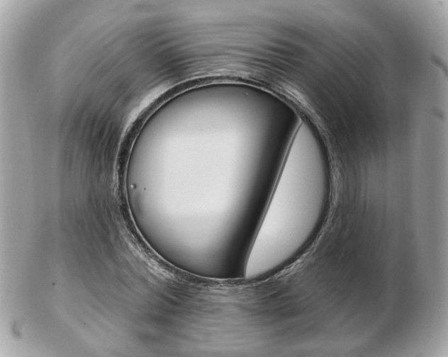 X0000103280780200808291045