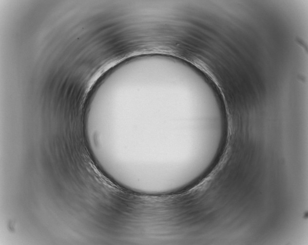 X0000103280781200808291045