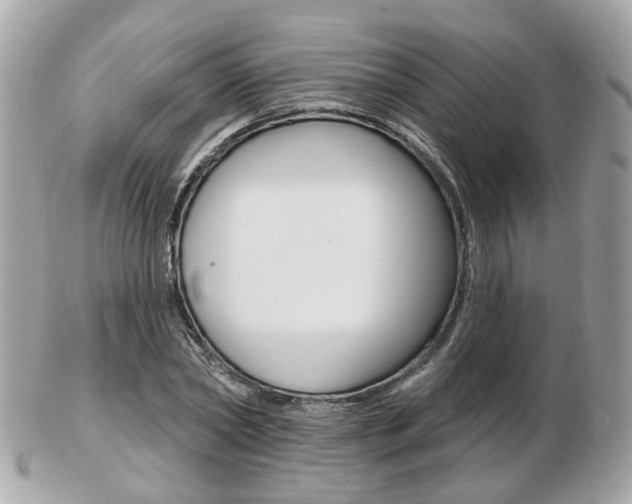 X0000103280782200808291045