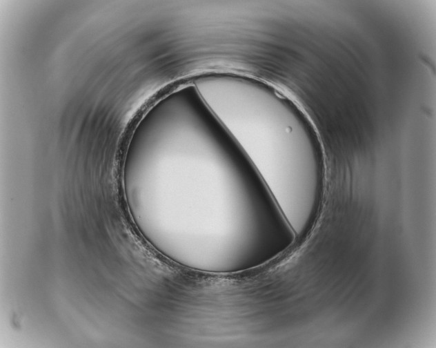 X0000103280783200808291045