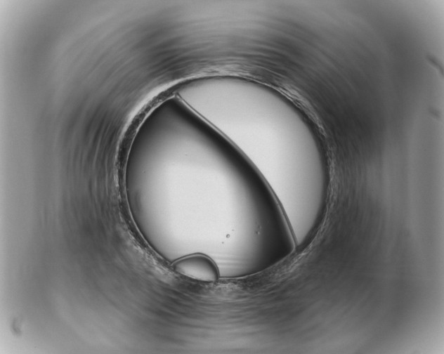 X0000103280784200808291045