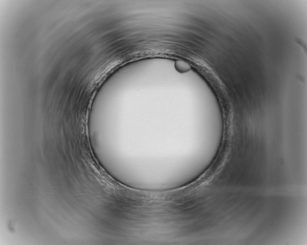 X0000103280785200808291044