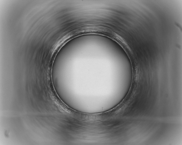 X0000103280786200808291044