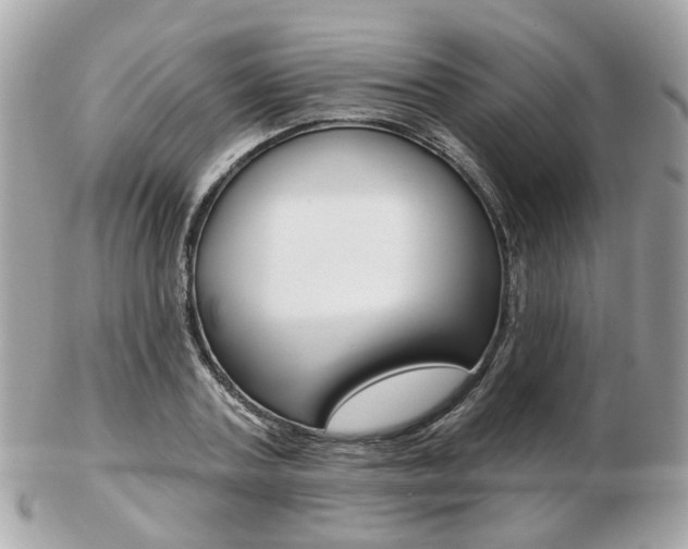 X0000103280787200808291044