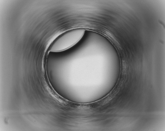 X0000103280788200808291044