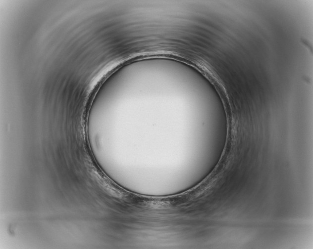 X0000103280789200808291044