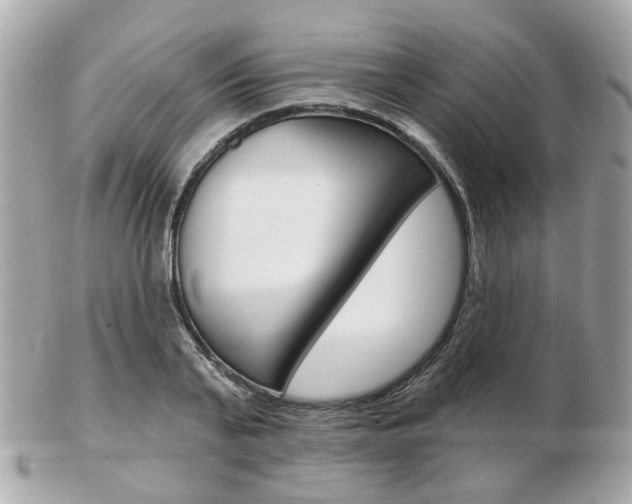 X0000103280791200808291044