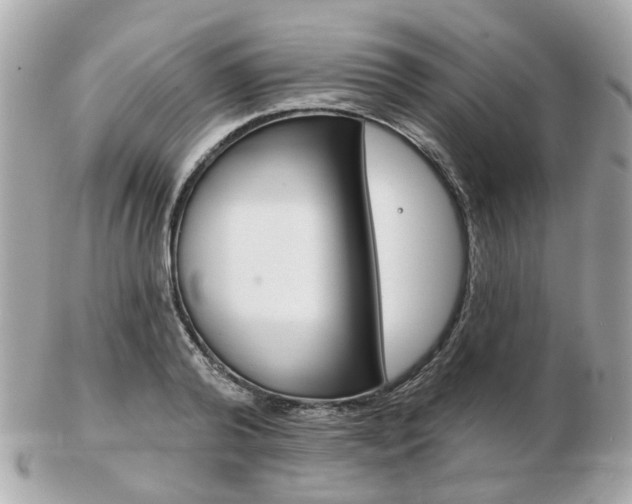 X0000103280792200808291044