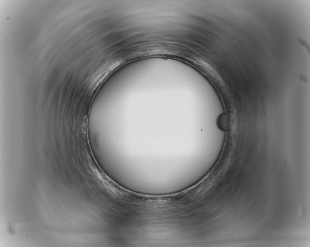 X0000103280793200808291044