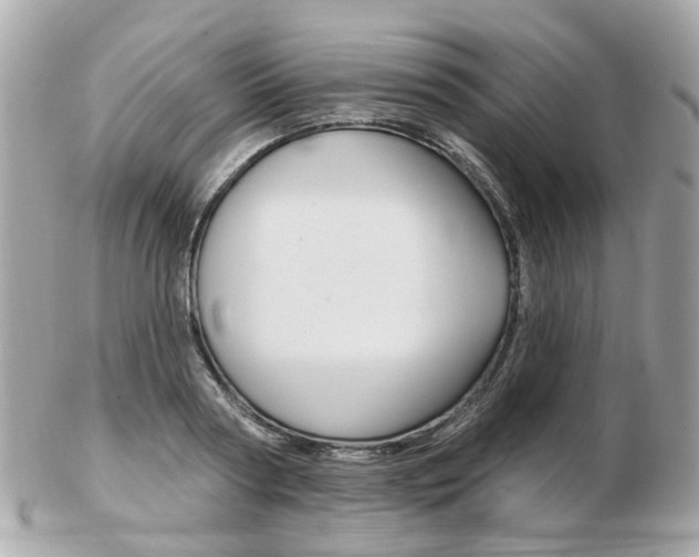 X0000103280794200808291044