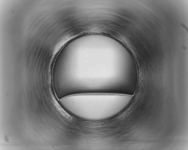 X0000103280795200808291044