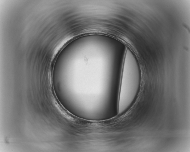 X0000103280796200808291044