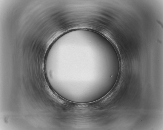 X0000103280797200808291044