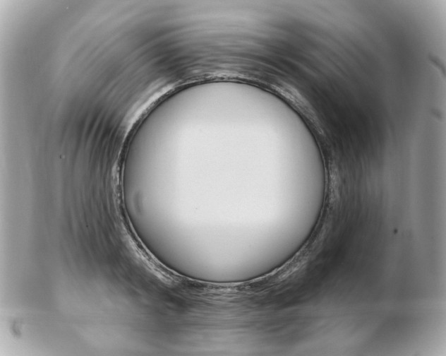 X0000103280798200808291044