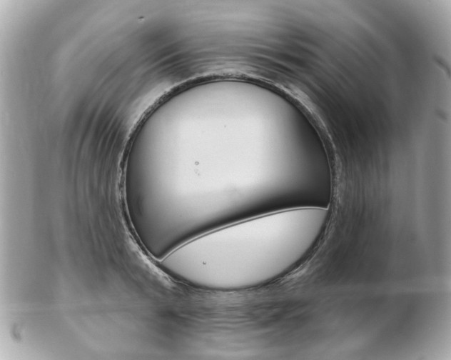X0000103280799200808291044