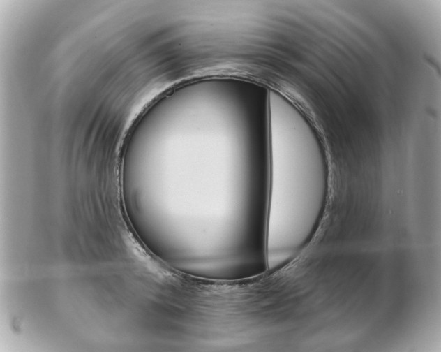 X0000103280800200808291044