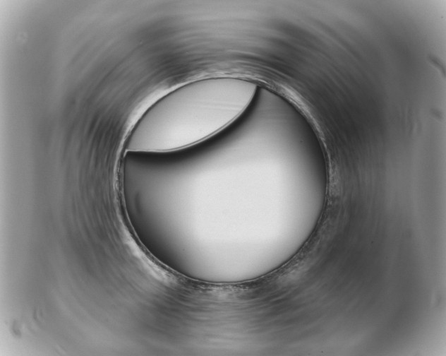 X0000103280803200808291044