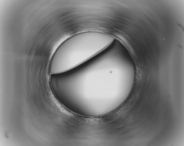 X0000103280804200808291044