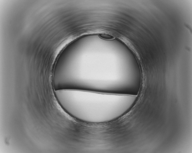 X0000103280805200808291044