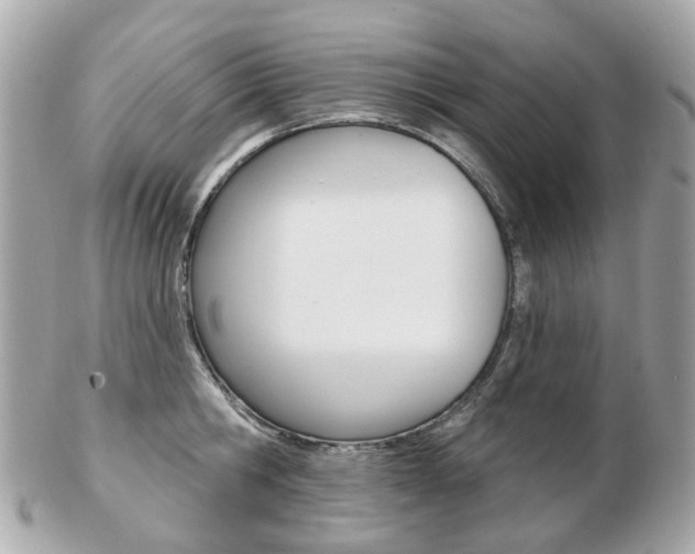 X0000103280806200808291044