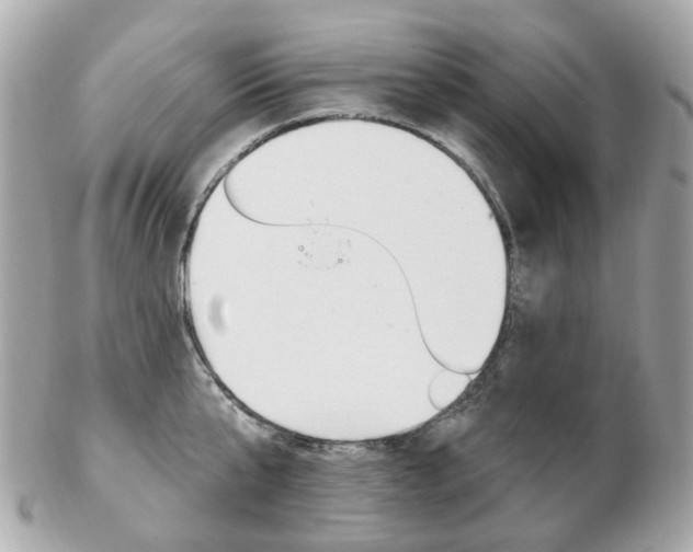 X0000103280807200808291044