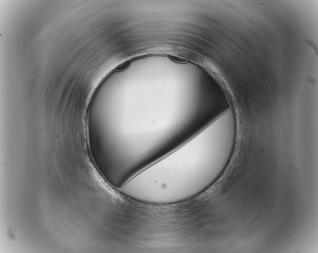 X0000103280808200808291044