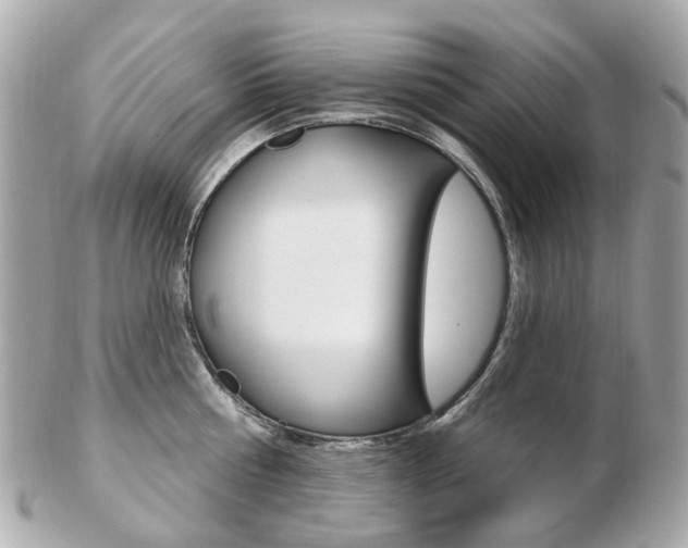 X0000103280810200808291044