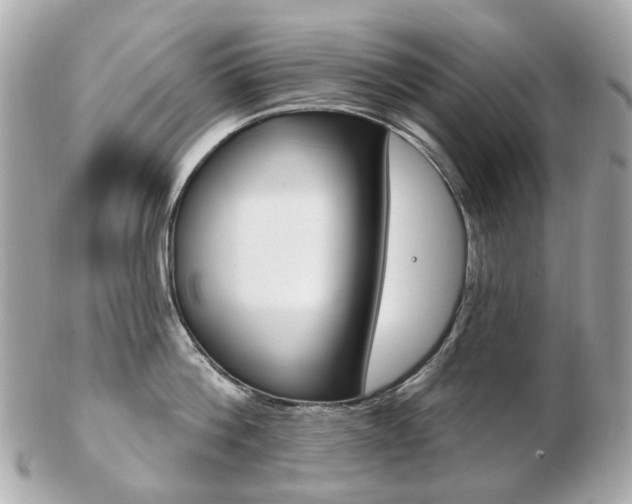 X0000103280812200808291044