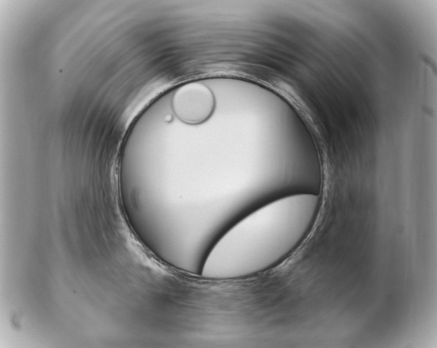 X0000103280814200808291044