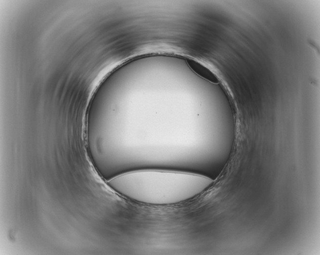 X0000103280815200808291044