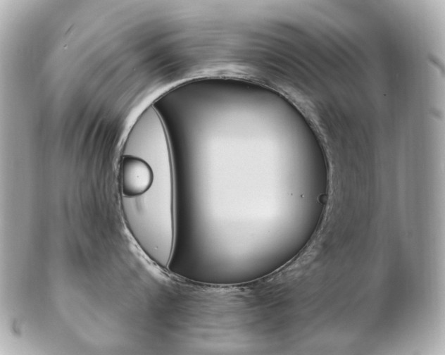 X0000103280816200808291044
