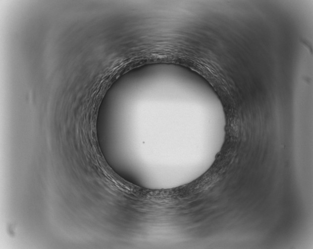 X0000103280817200808291043