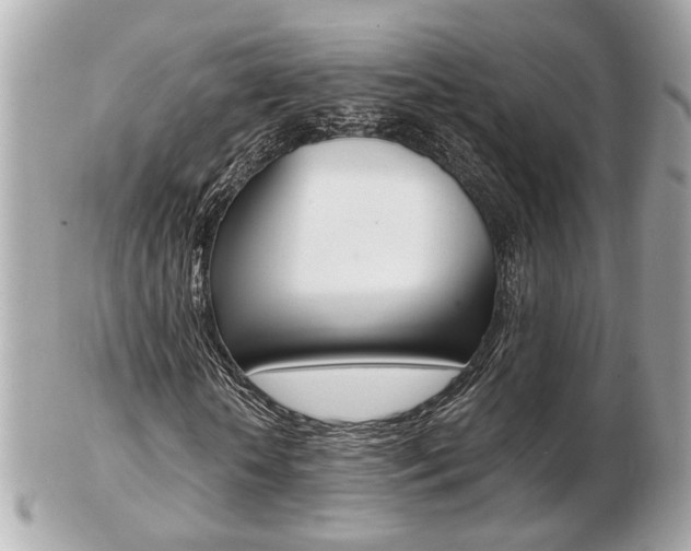 X0000103280818200808291043