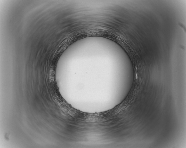 X0000103280819200808291043