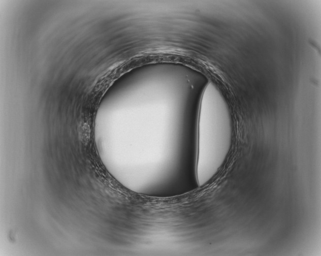 X0000103280821200808291043