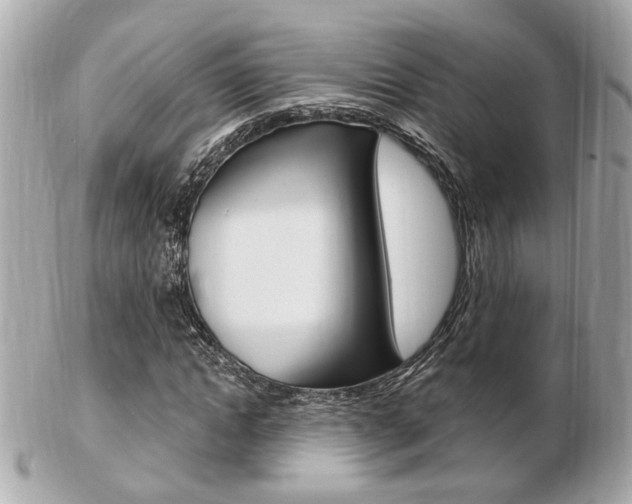 X0000103280822200808291043
