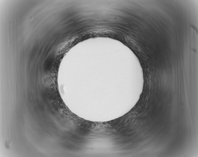 X0000103280824200808291043