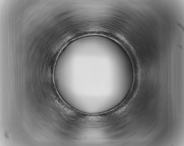 X0000103280825200808291043