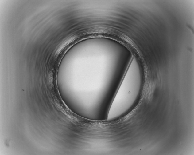 X0000103280826200808291043