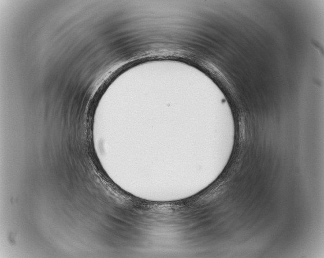 X0000103280828200808291043